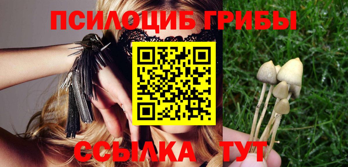 Галлюциногенные грибы Psilocybine cubensis Ханты-Мансийск