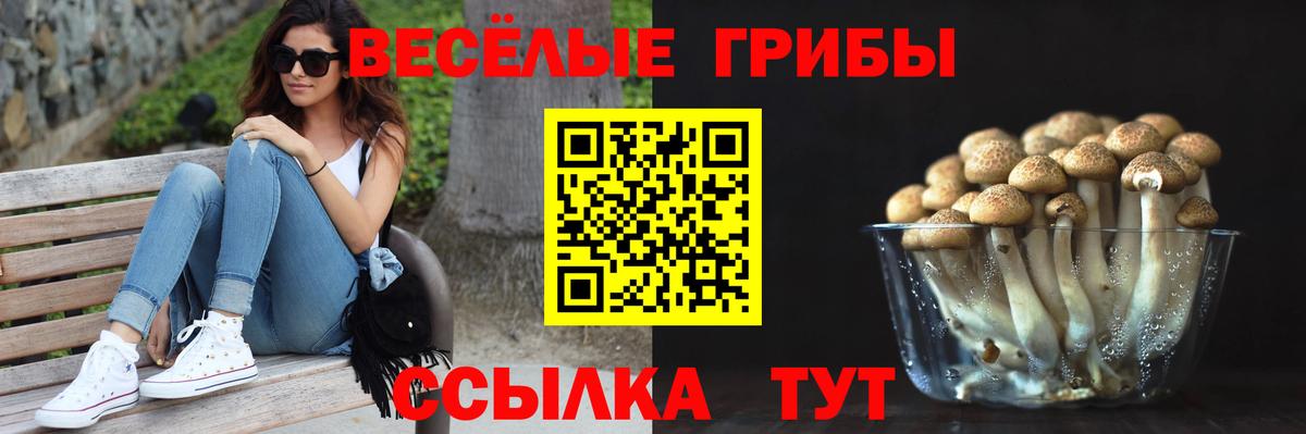 Ханты-Мансийск  Псилоцибиновые грибы Cubensis  Псилоцибиновые грибы ЛСД  Вход с VPN 